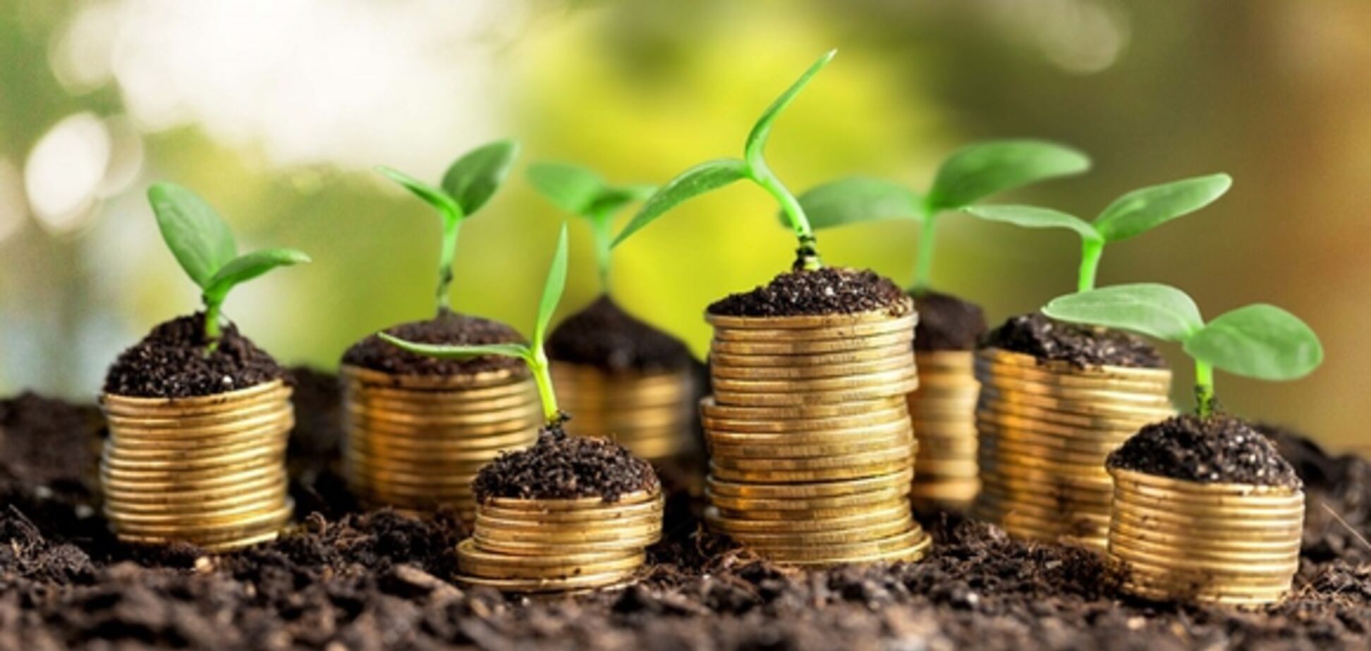 Куда безопасно вложить деньги в Украине сегодня?