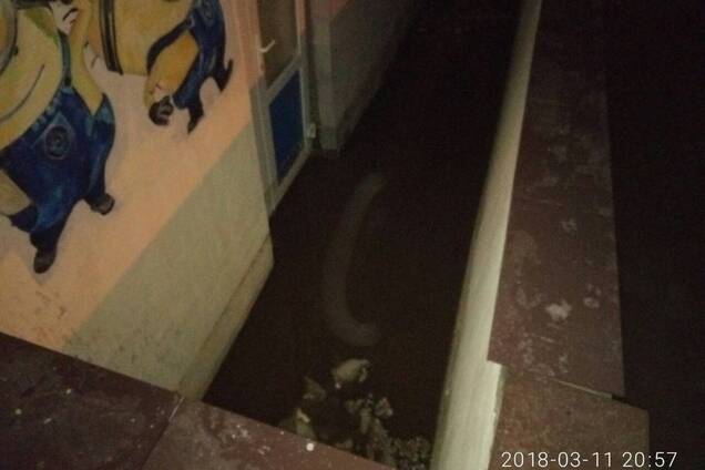 На Киевщине начался 'потоп': фото спасательной операции