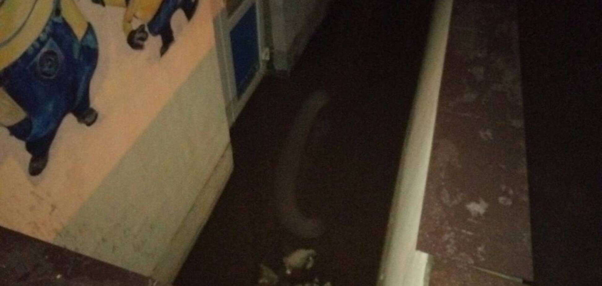 На Київщині розпочався 'потоп': фото рятувальної операції