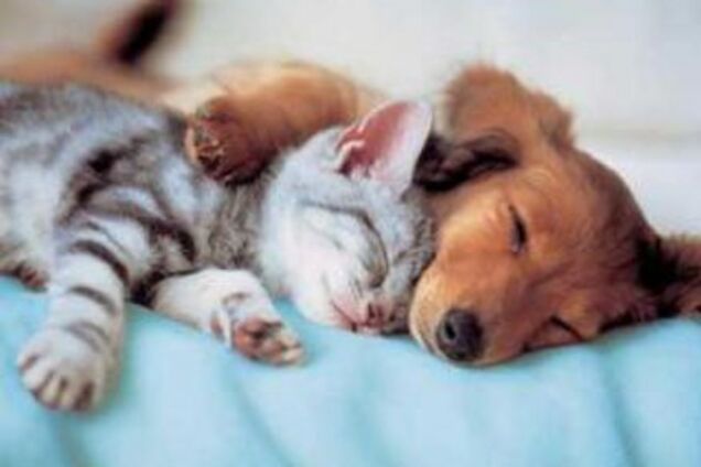 16 марта: какой сегодня праздник