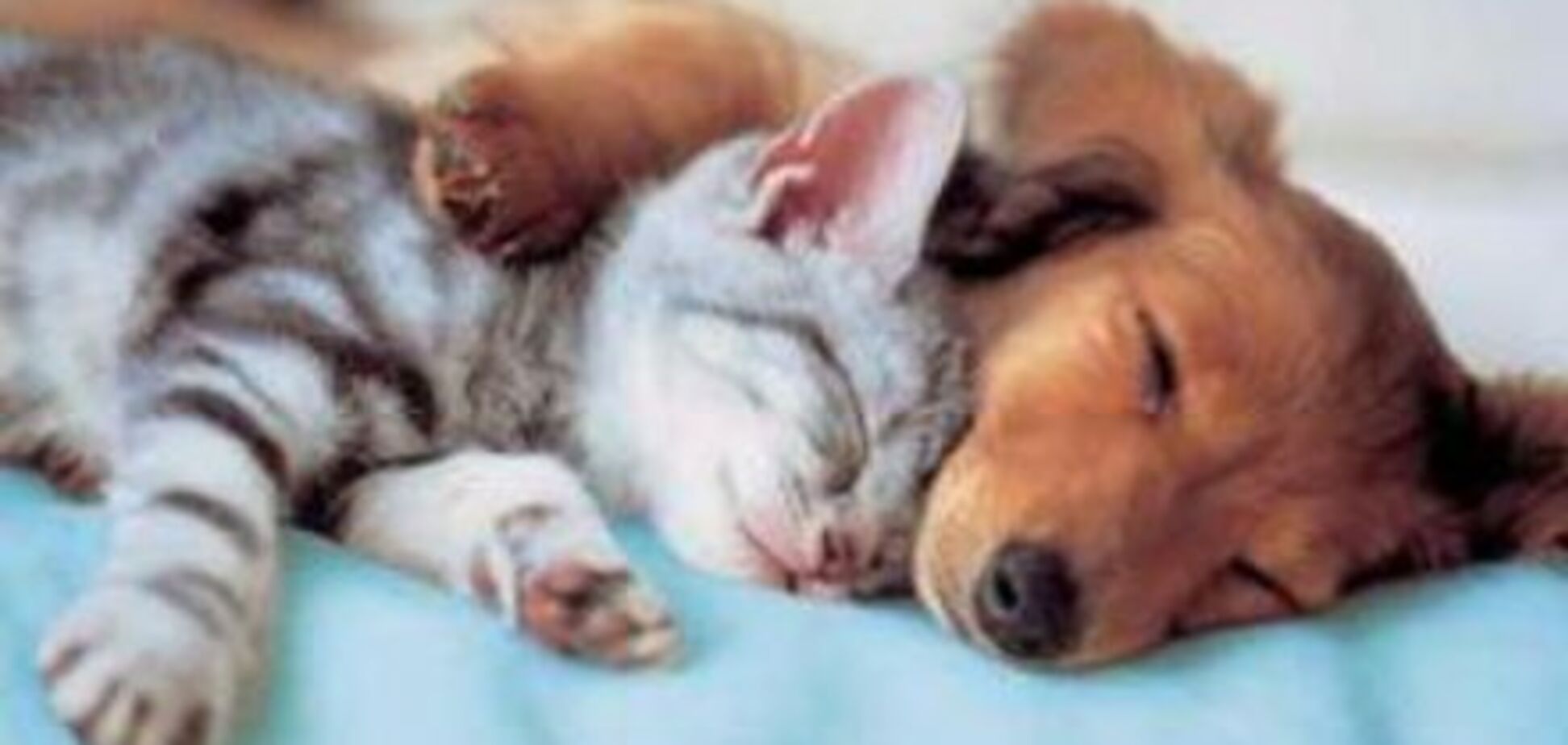 16 марта: какой сегодня праздник