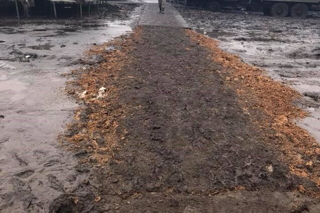 Широкий лан