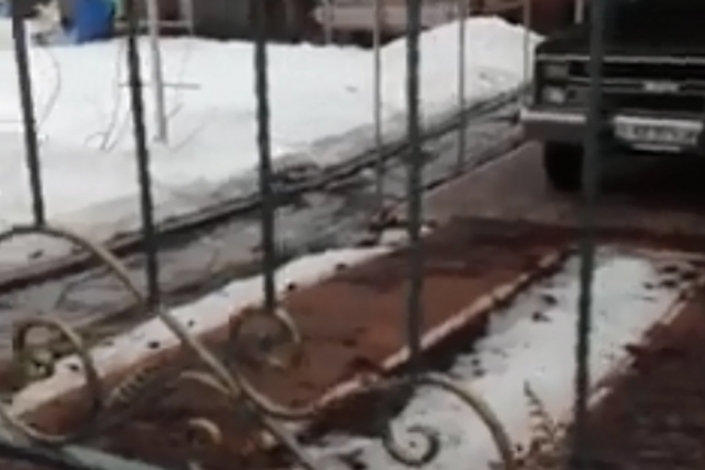 Забивал лопатой: на Киевщине живодер жестоко расправился с собакой