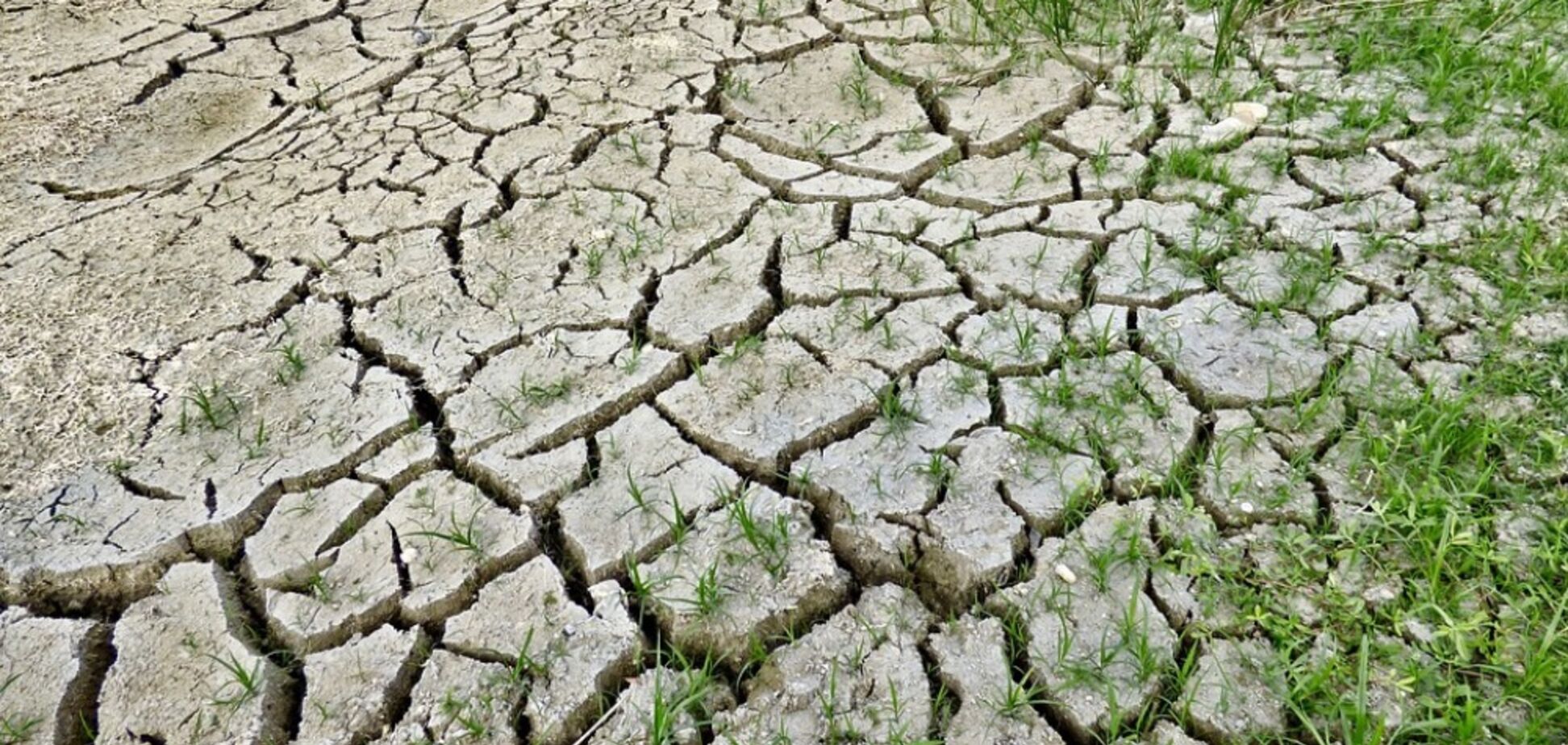 Крымская стабильность по-российски