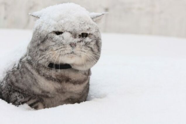 В Киеве 'отменили' наводнение и предупредили о мощном снегопаде