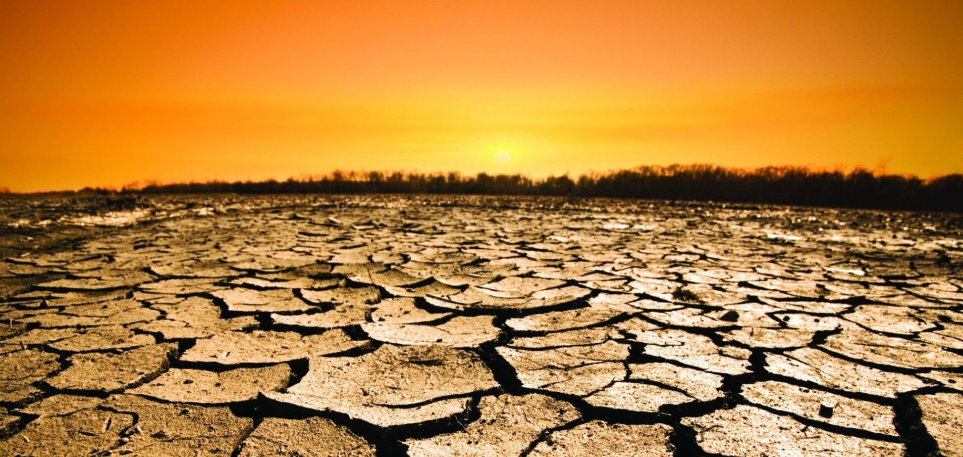 Глобальное вымирание