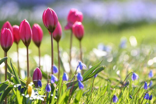 С чем носить самый модный цвет весны