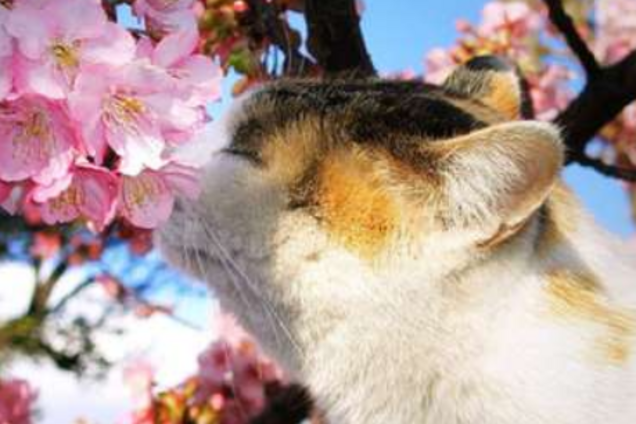 Насувається циклон: синоптик розповіла, коли в Україну прийде весна