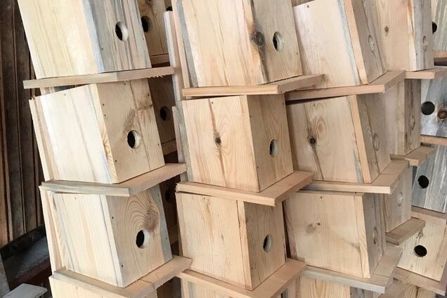 В Киеве подготовили домики для пернатых