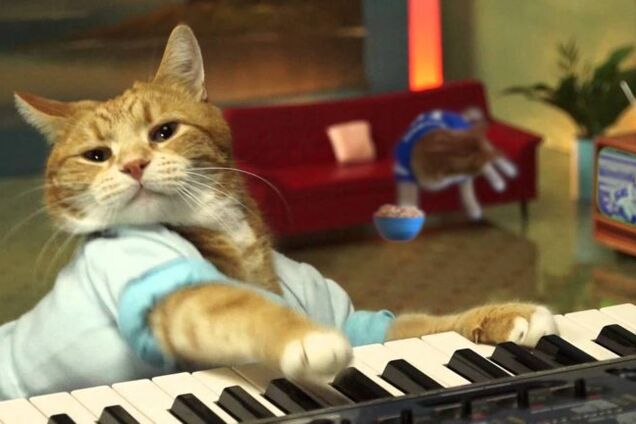 Кот-піаніст Бенто