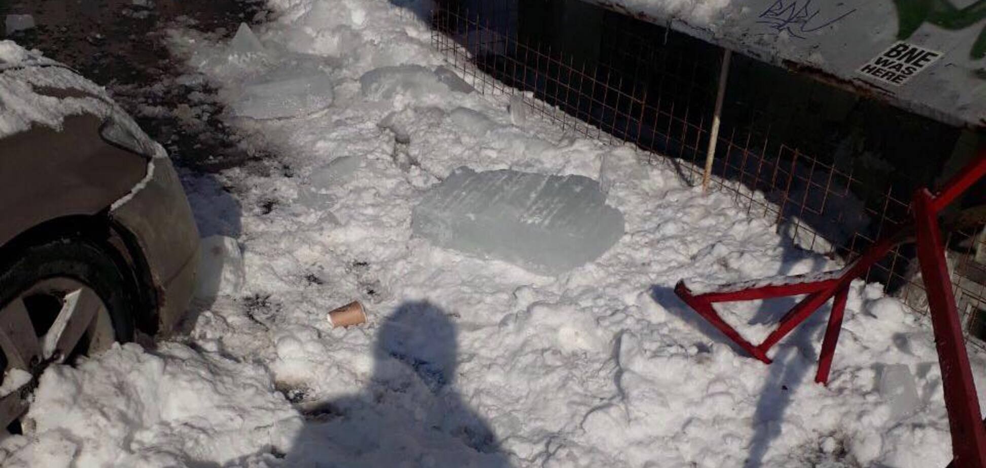 'Природа учит': киевлян предупредили о ледяной опасности