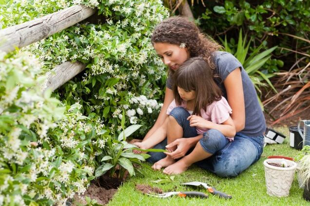 Лунный календарь огородника: когда и что сажать в марте