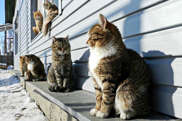 Потепління в Україні