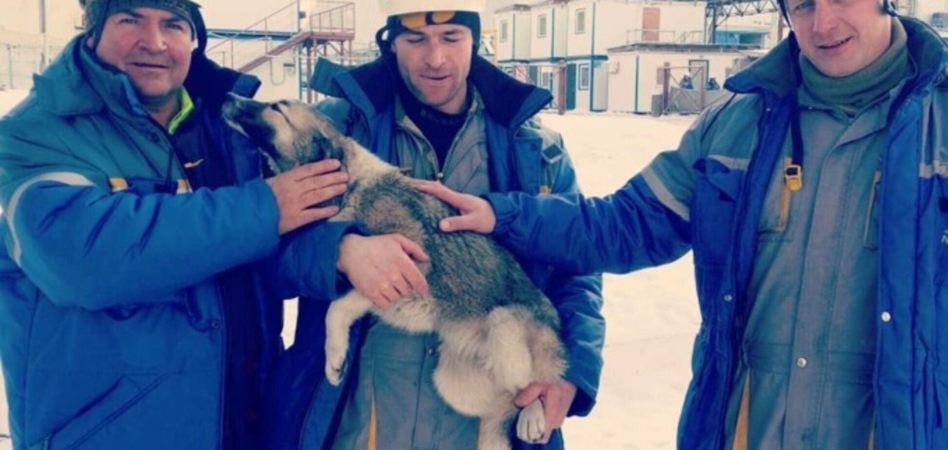 В Чернобыле с крыши саркофага спасли собаку