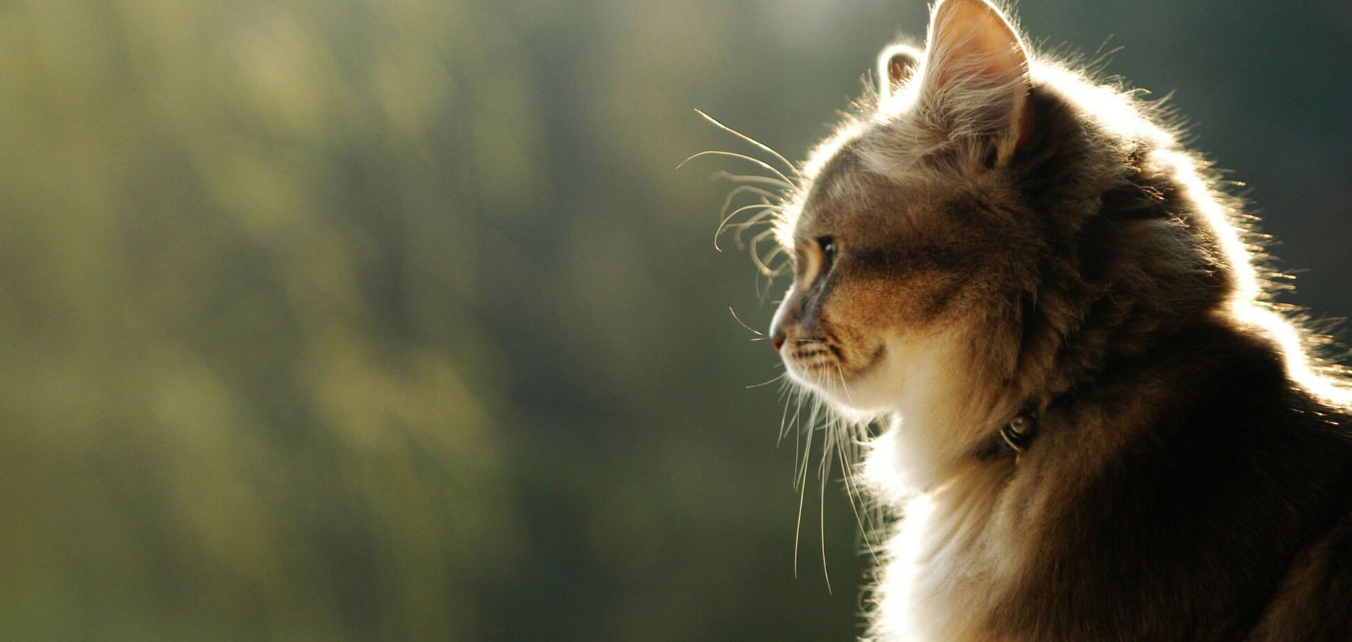 'Не просто тепло, а жарко': синоптики розповіли, коли зміниться погода