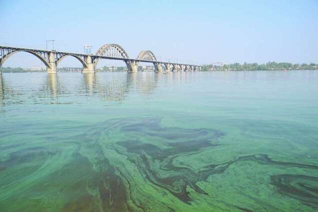 Відгукнеться вже влітку: еколог попередила про небезпеку у воді Дніпра