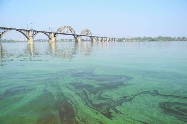 Аукнется уже летом: эколог предупредила об опасности в воде Днепра