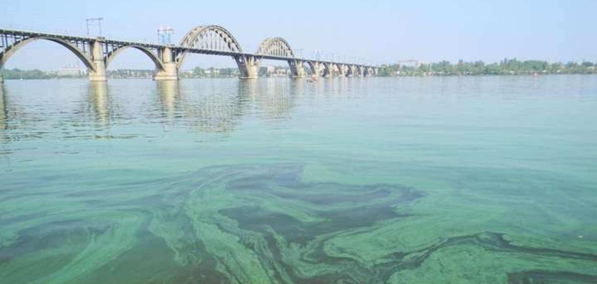 Аукнется уже летом: эколог предупредила об опасности в воде Днепра