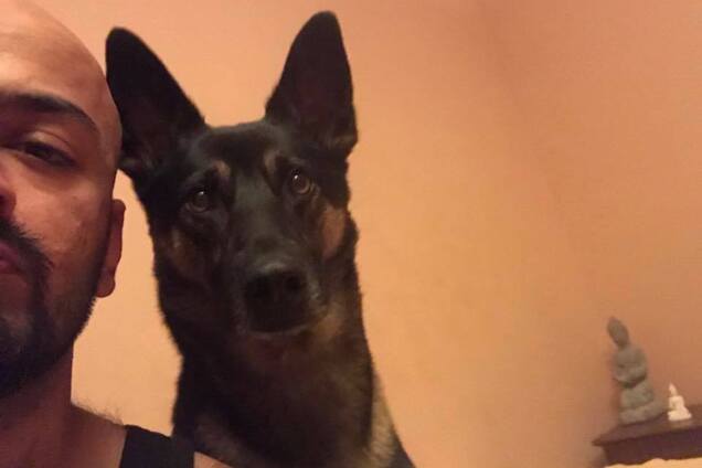 Бармалей і 10 цуценят