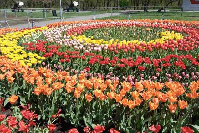 У Запоріжжі приступили до благоустрою парків