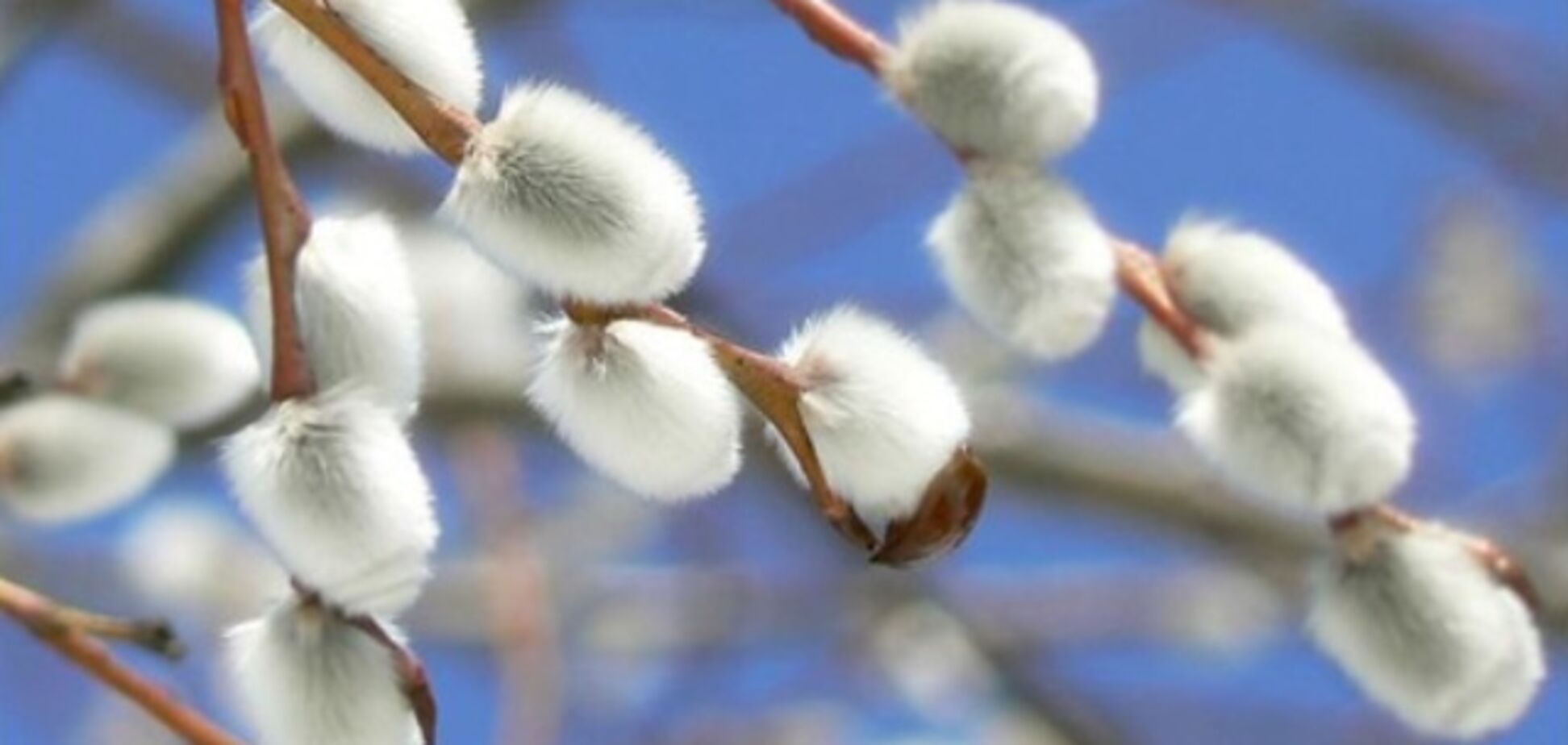 Весна потепление