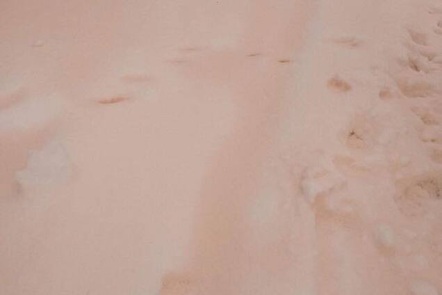 Винна Африка: на Одещині випав помаранчевий сніг