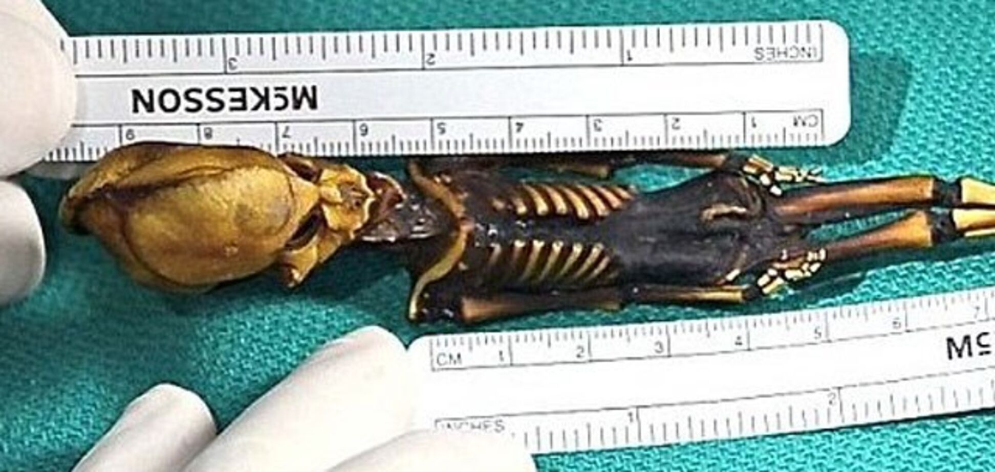 Генетики розкрили таємницю знайденого в пустелі гуманоїда