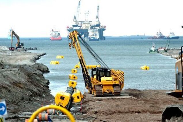 Стыдно: в России дефицит навоза