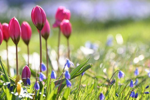 Синоптики уточнили прогноз погоды в Украине