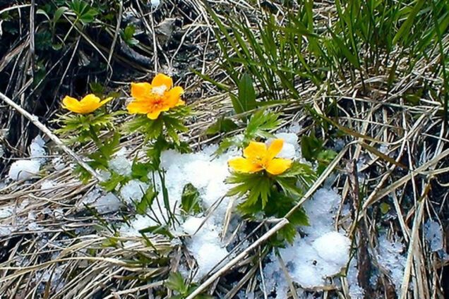 Прогноз погоди: тепло лише почало набирати оберти