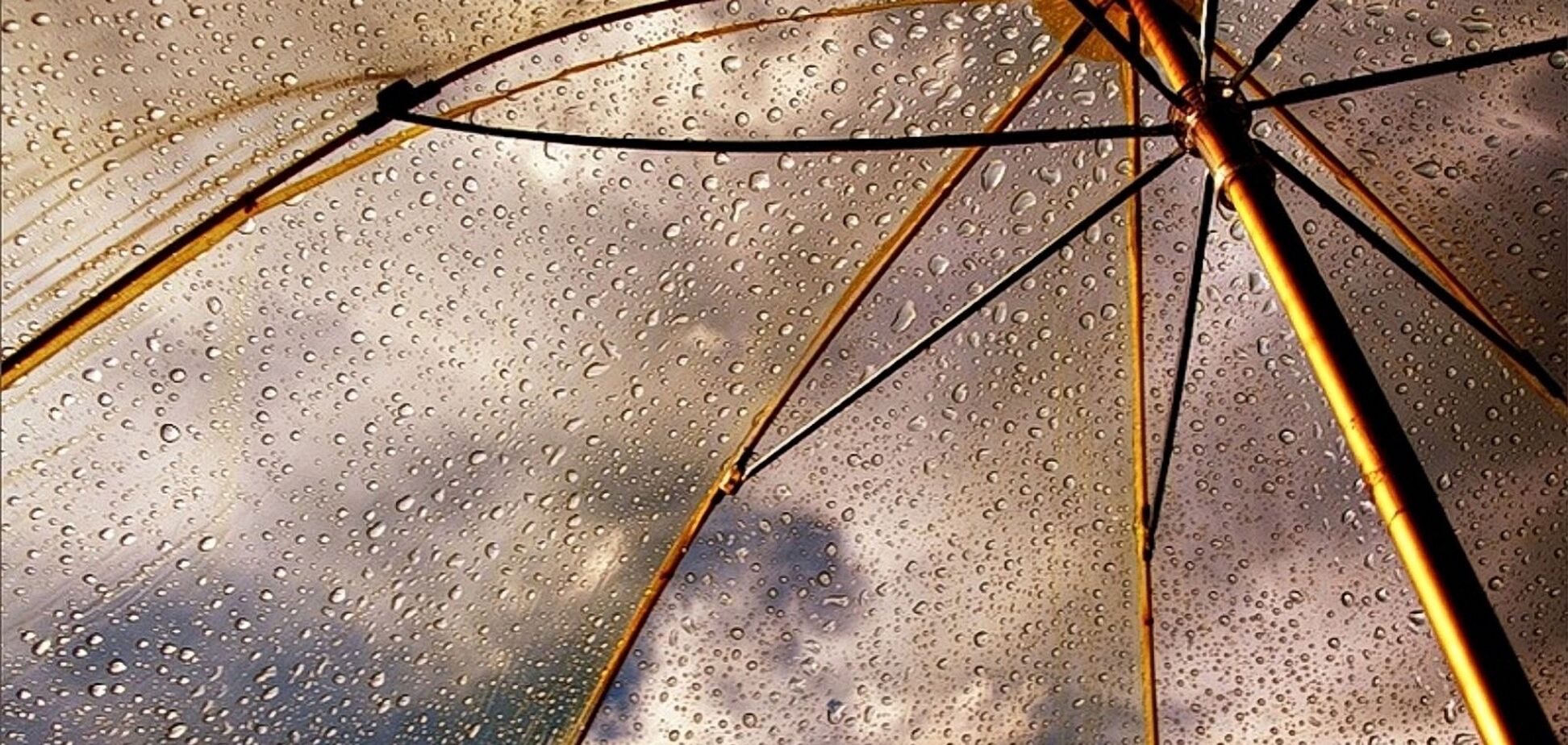 Весняний дощ