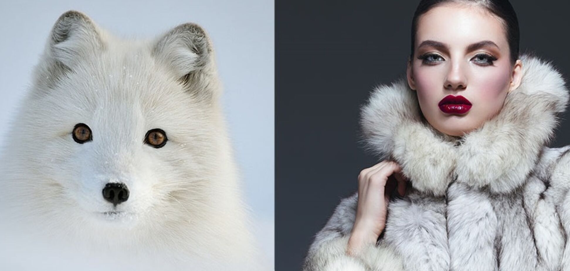 Куда девать шубу после отказа от меха?