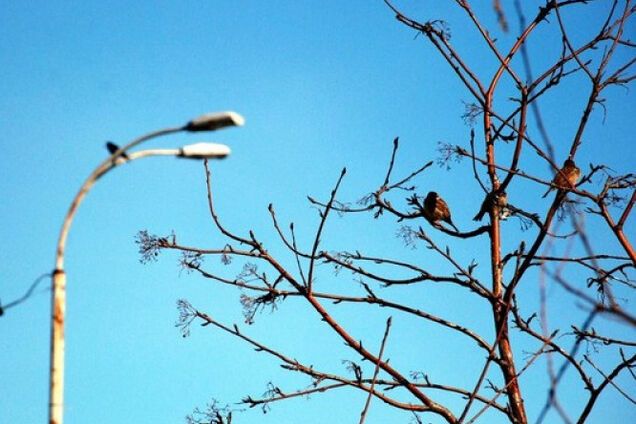 Погода в Украине