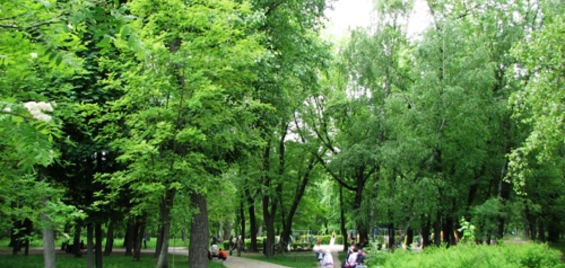 Геопластика и подсветка: как изменится Сырецкий парк