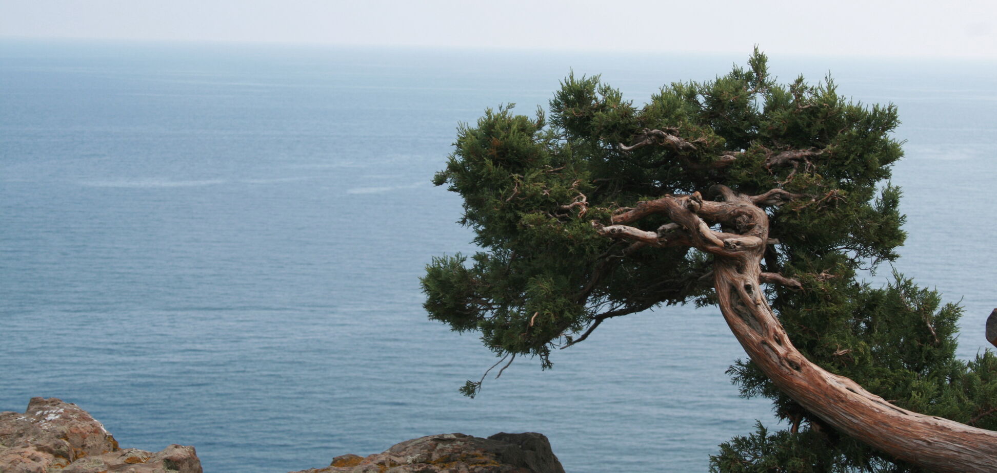 Новости Крымнаша. Полицейское государство