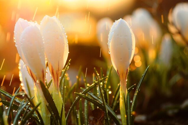 На Украину надвигается циклон