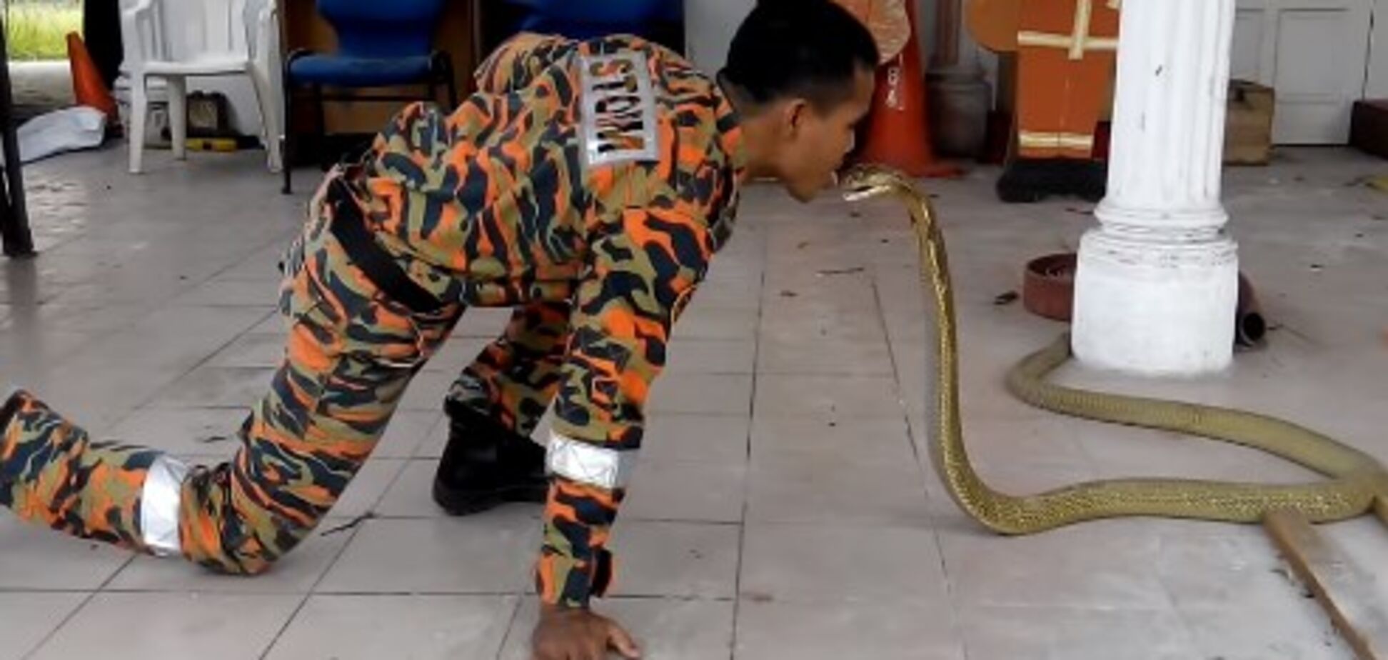 Любил целовать рептилий: популярного в YouTube змеелова убила кобра
