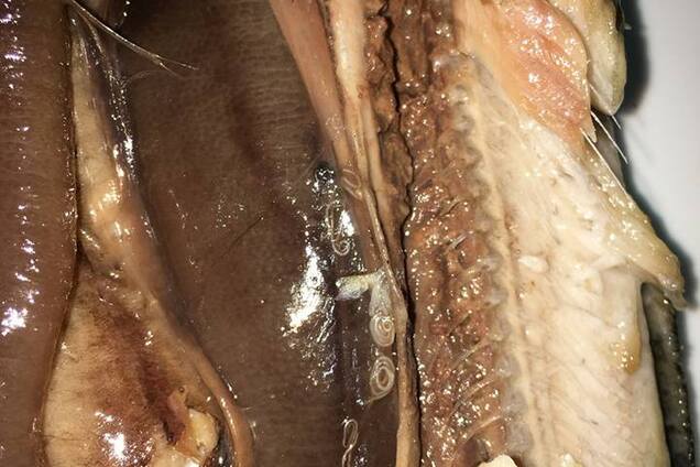 'Вся с глистами': под Киевом известный супермаркет попал в скандал