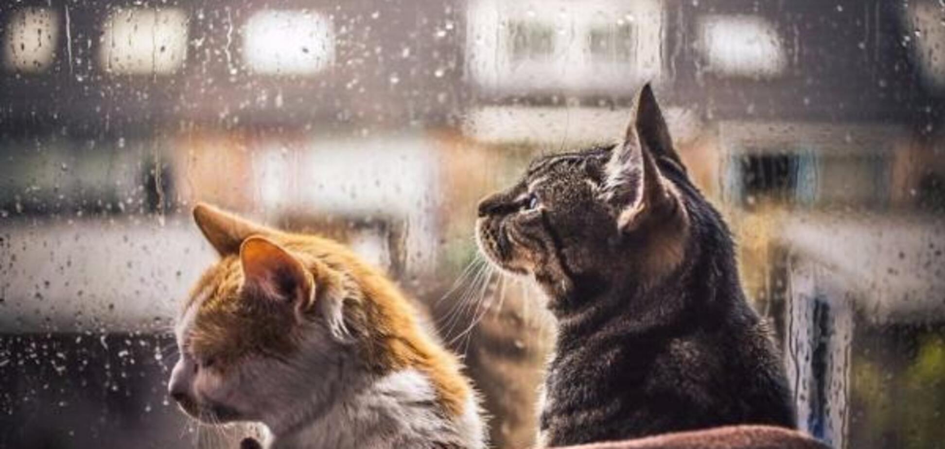 Потепління в Україні