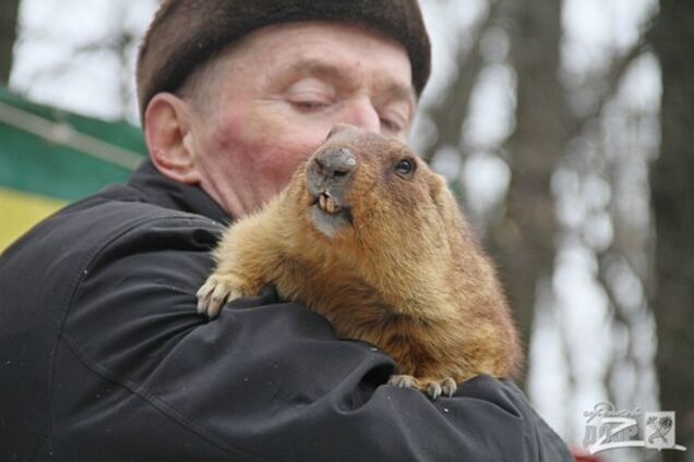 Погода в Украине: что теперь хотят сделать с сурком Тимкой