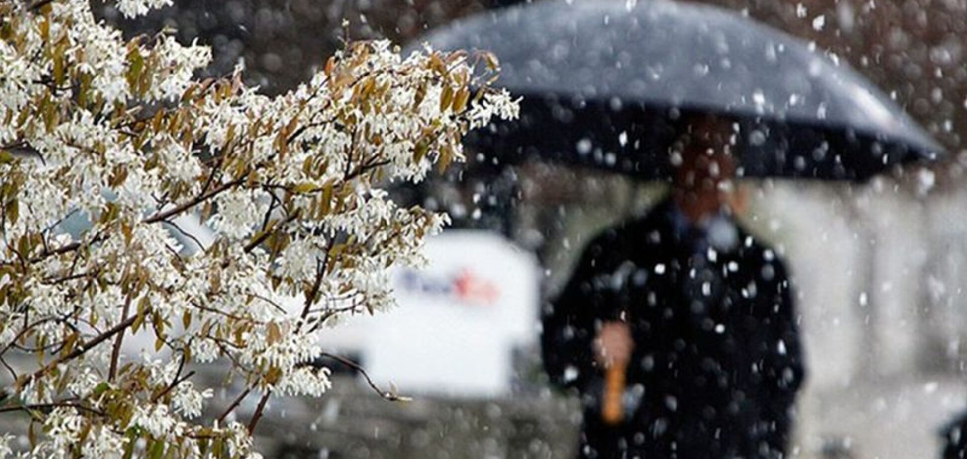 Прогноз погоды в Украине