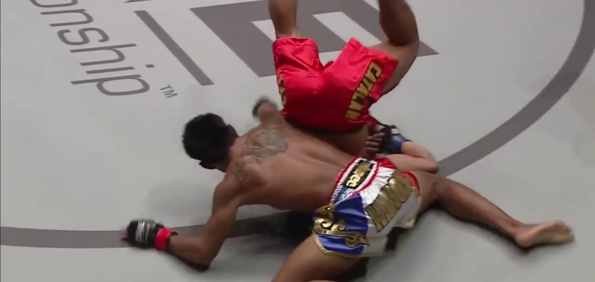 Боєць ММА встромив суперника головою в ринг і був покараний: опубліковано відео