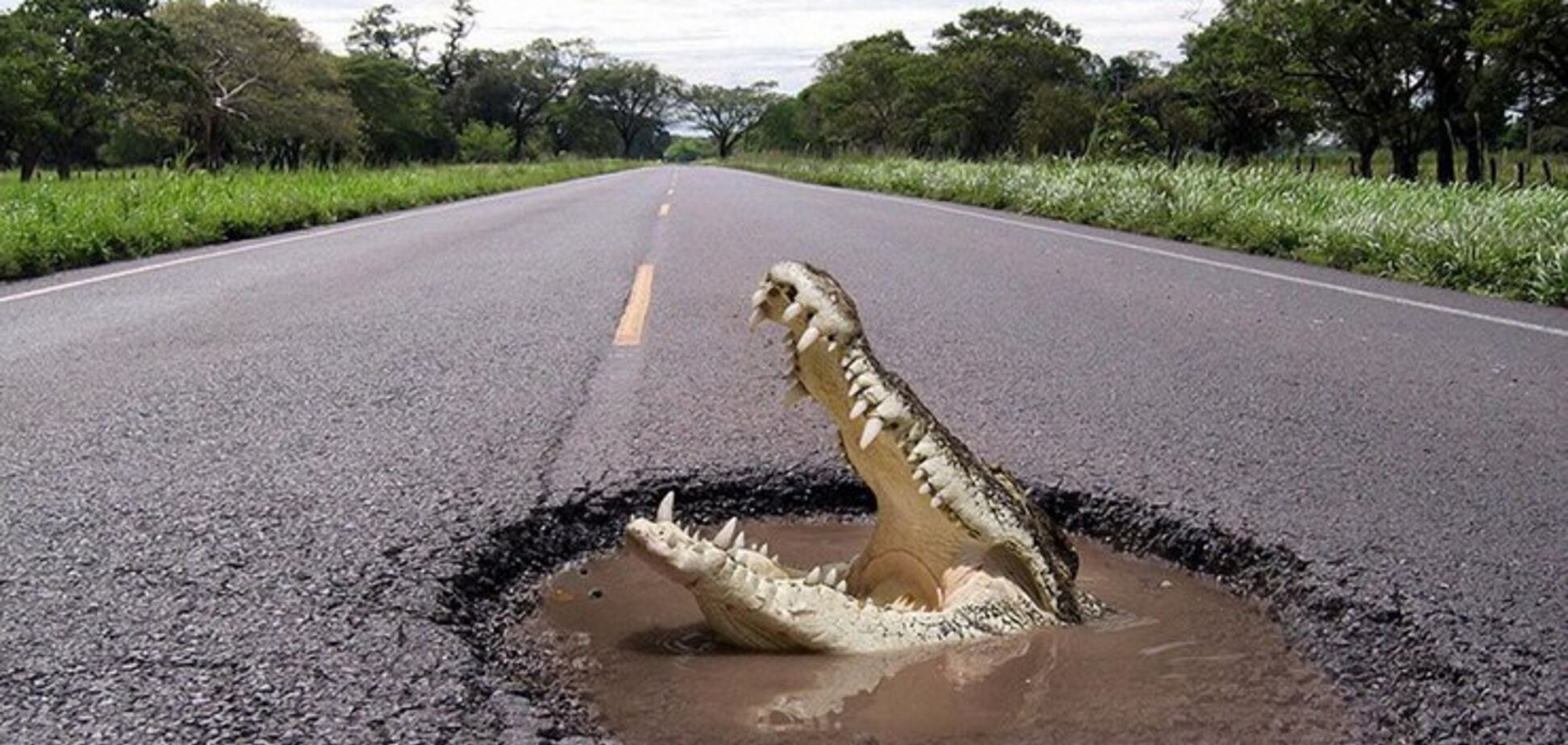 За пошкоджене авто через ями на дорозі заплатять органи влади