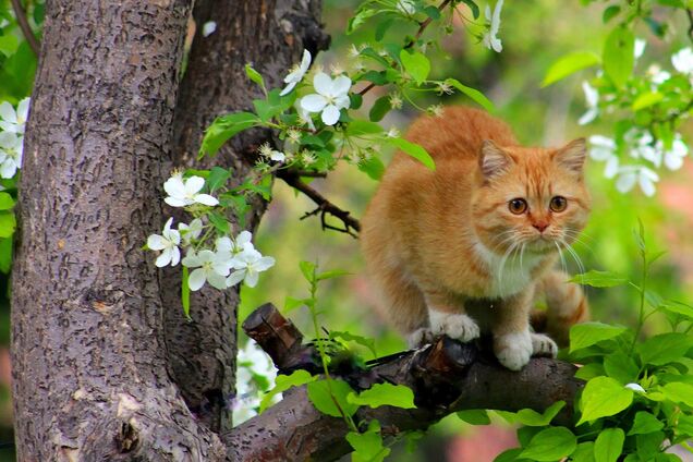 Потеплеет до +20: в Украине резко изменится погода