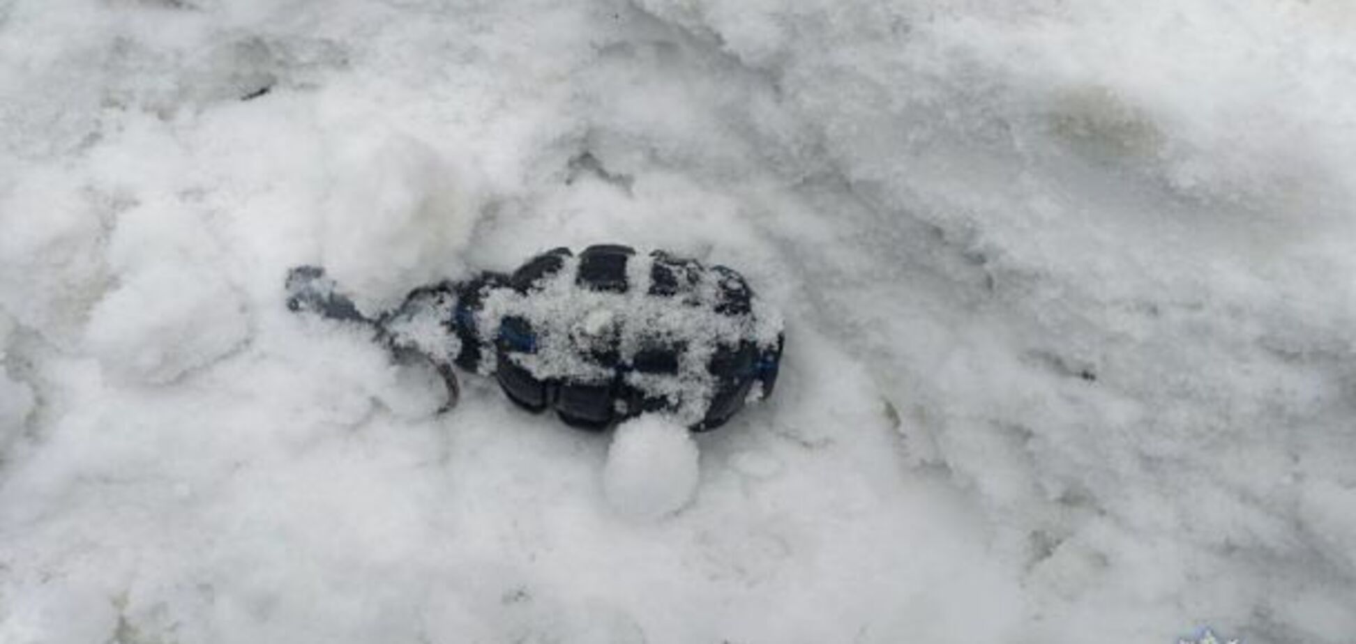 Там, де ультрарадикали - шукай ослячі вуха Кремля