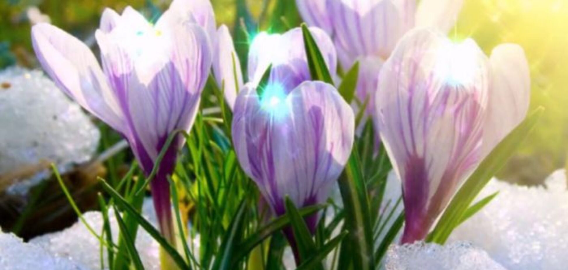 Куда пойти на 8 марта: топ-6 праздничных мероприятий