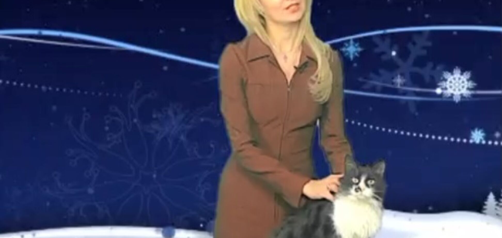 Телеканал з Дніпра 'працевлаштував' котів з притулку