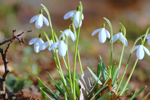 Прогноз погоды