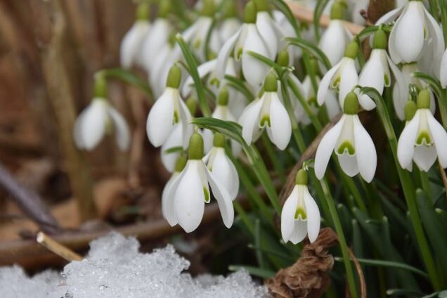 Погода март