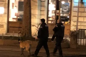 Напад у Відні